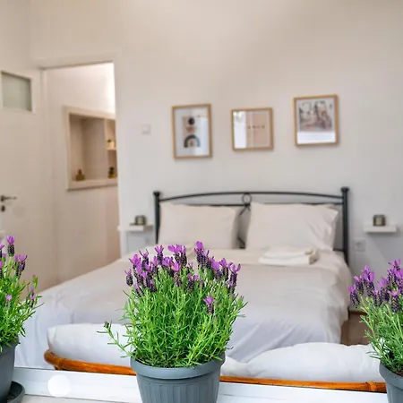 Lux Garden Apartment Near Acropolis In The Heart Of Athens-2